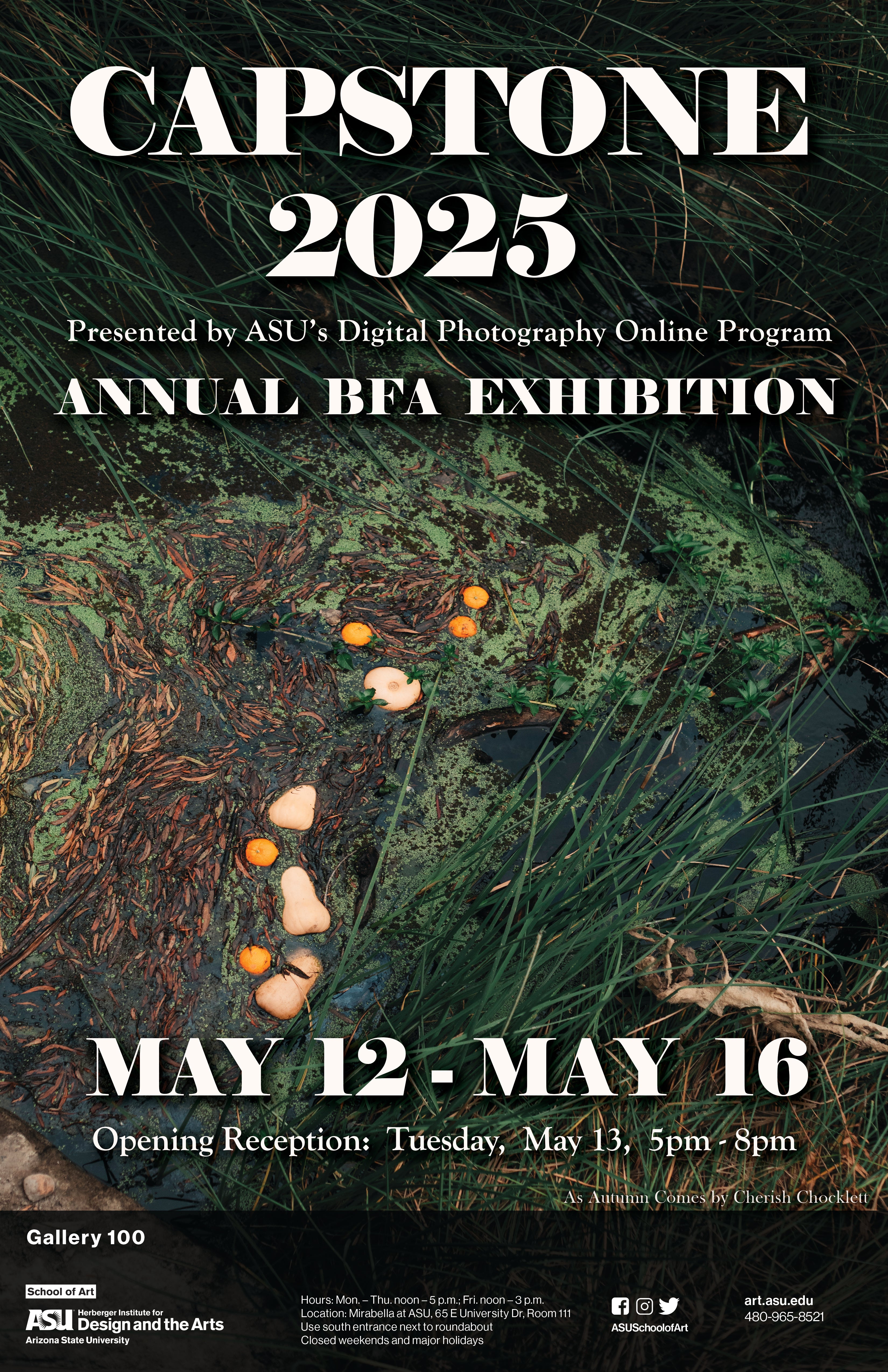 Capstone flyer