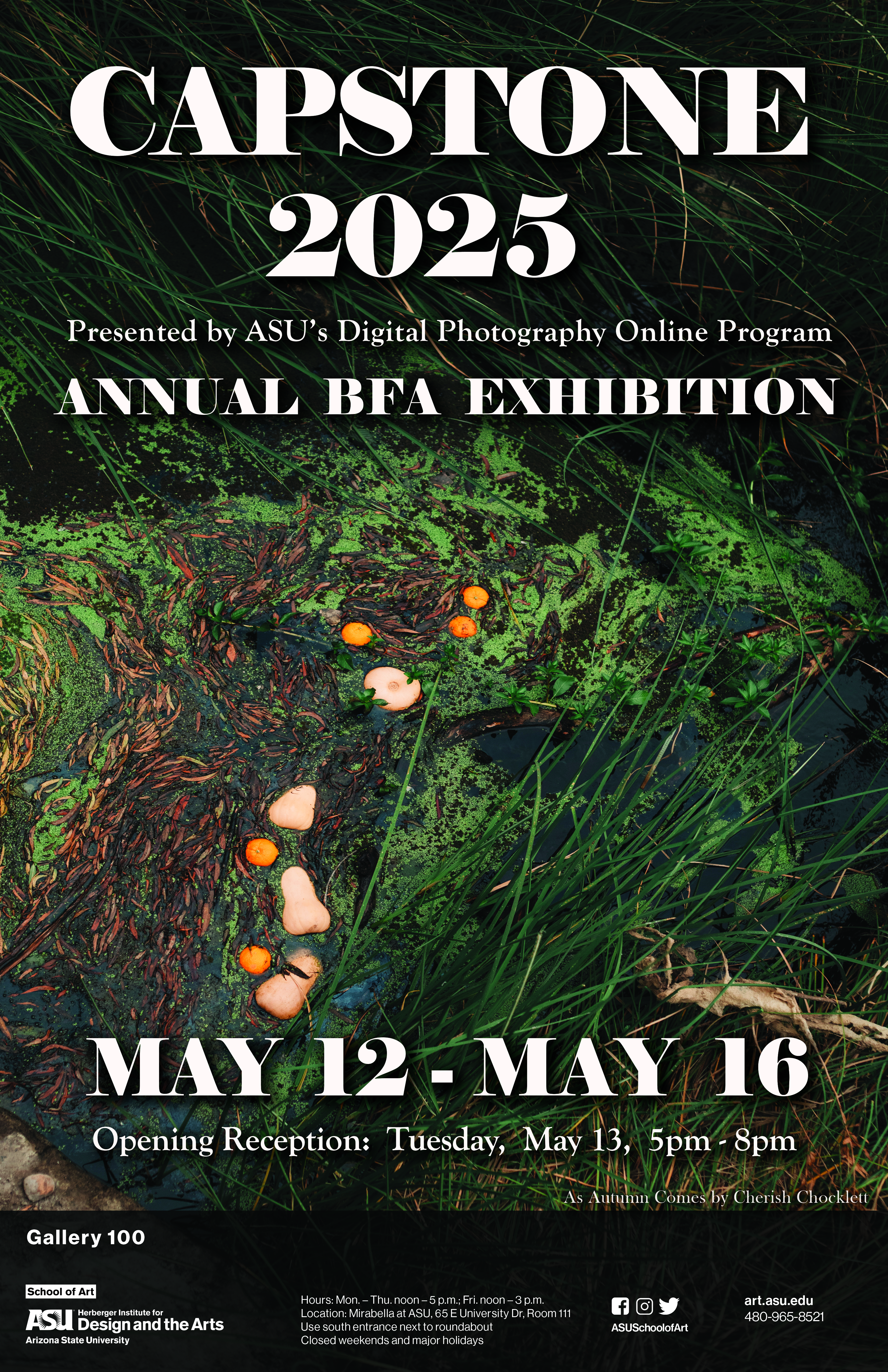 Capstone flyer